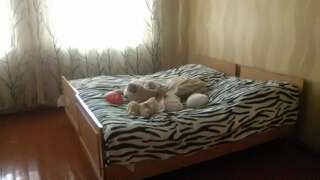 Гостевой дом Hotel Kazbegi 1 Степанцминда Трехместный номер с основными удобствами-1