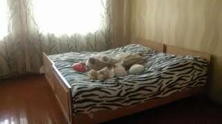 Гостевой дом Hotel Kazbegi 1 Степанцминда Трехместный номер с основными удобствами-10